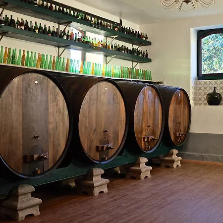 Palacete Idalina 4* Caminha