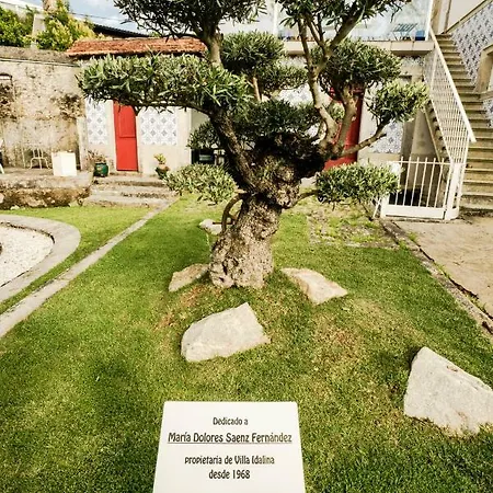 Palacete Idalina Guest house