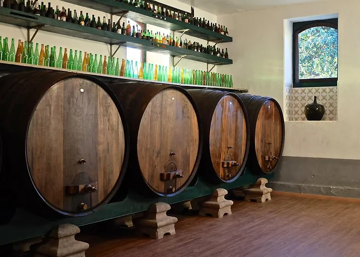 Palacete Idalina 4* Caminha